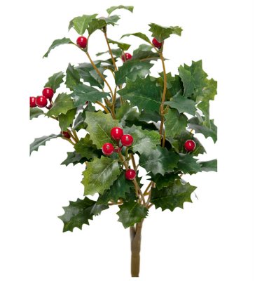 Mr Plant Järnek 30 cm